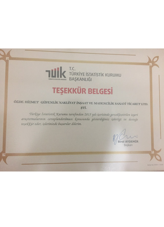 özde hizmet tuik belge